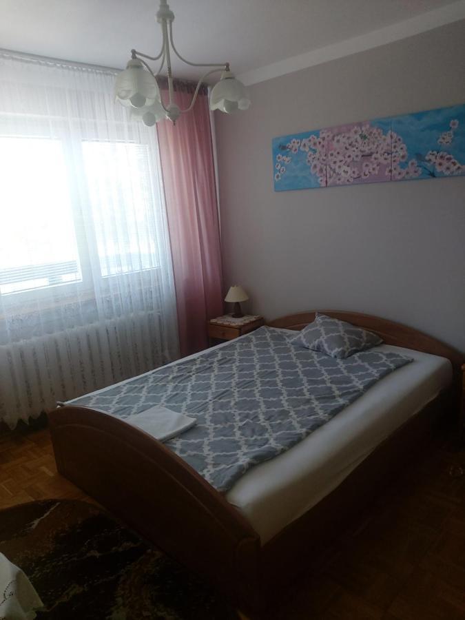 Mikołajki信天翁旅馆公寓 外观 照片